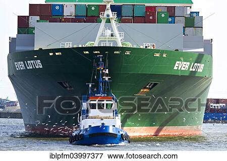"Containership Ever Lotus being towed by tug boat, Hamburg Harbour, Hamburg, Germany, Europe" View Large Photo Image Stock Photo - "Containership Ever Lotus being towed by tug boat, Hamburg Harbour, Hamburg, Germany, Europe". Fotosearch