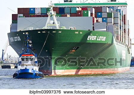 "Containership Ever Lotus being towed by tug boat, Hamburg Harbour, Hamburg, Germany, Europe" View Large Photo Image Stock Photograph - "Containership Ever Lotus being towed by tug boat, Hamburg Harbour, Hamburg, Germany, Europe". Fotosearch