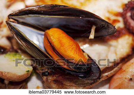 Stock Photography - "Cooked mussel on a plate, Lanzarote, Canary Islands, Spain, Europe". Fotosearch