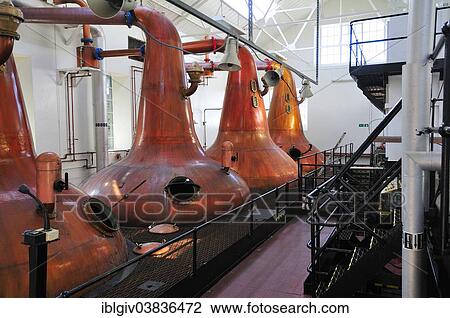 Stock Image - "Copper stills in the whiskey distillery Highland Park Distillery, Kirkwall, Mainland, Orkney, Scotland, United Kingdom, Europe". Fotosearch
