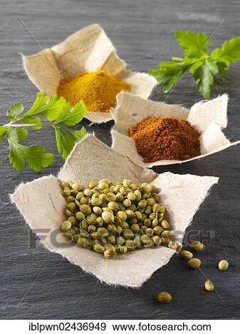 "Coriander seed, ground chilli powder and ground turmeric spices" View Large Photo Image Stock Photo - "Coriander seed, ground chilli powder and ground turmeric spices". Fotosearch