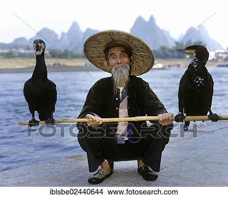 "Cormorant fisherman with Great Cormorants (Phalacrocorax carbo) on the Li Jiang River, Yangshuo, Guilin, Guangxi, China, Asia" View Large Photo Image Picture - "Cormorant fisherman with Great Cormorants (Phalacrocorax carbo) on the Li Jiang River, Yangshuo, Guilin, Guangxi, China, Asia". Fotosearch