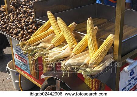 "Corncobs and chestnuts, Eminoenue-market, Istanbul, Turkey, Asia" View Large Photo Image Stock Photograph - "Corncobs and chestnuts, Eminoenue-market, Istanbul, Turkey, Asia". Fotosearch