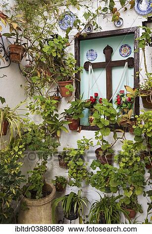 "Corner with many potted plants and a cross, Barrio de la Villa, Priego de Cordoba, Cordoba province, Andalusia, Spain, Europe" View Large Photo Image Stock Photo - "Corner with many potted plants and a cross, Barrio de la Villa, Priego de Cordoba, Cordoba province, Andalusia, Spain, Europe". Fotosearch