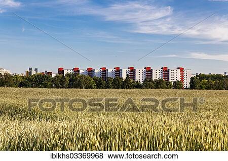 "Cornfield with multi-storey buildings, Markisches Viertel, Reinickendorf, Berlin, Berlin, Germany, Europe" View Large Photo Image Stock Photo - "Cornfield with multi-storey buildings, Markisches Viertel, Reinickendorf, Berlin, Berlin, Germany, Europe". Fotosearch