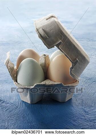 Stock Image - Cotswold Legbar organic free range chicken eggs. Fotosearch