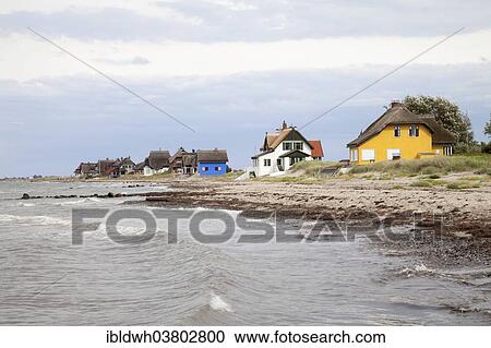 "Cottages with thatched roofs on the coast, Graswarder peninsula, Heiligenhafen, Schleswig-Holstein, Germany, Europe" View Large Photo Image Stock Image - "Cottages with thatched roofs on the coast, Graswarder peninsula, Heiligenhafen, Schleswig-Holstein, Germany, Europe". Fotosearch