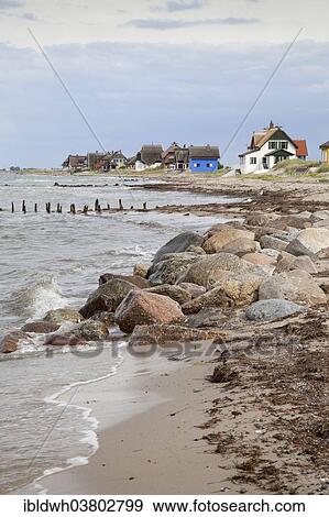 "Cottages with thatched roofs on the coast, Graswarder peninsula, Heiligenhafen, Schleswig-Holstein, Germany, Europe" View Large Photo Image Stock Photo - "Cottages with thatched roofs on the coast, Graswarder peninsula, Heiligenhafen, Schleswig-Holstein, Germany, Europe". Fotosearch