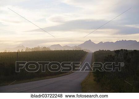 "Country road at dusk, Tsitsikamma, Eastern Cape, South Africa, Africa" View Large Photo Image Stock Photo - "Country road at dusk, Tsitsikamma, Eastern Cape, South Africa, Africa". Fotosearch