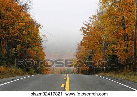 Country road in autumn, Adirondacks, Upstate New York, USA View Large Photo Image Stock Image - Country road in autumn, Adirondacks, Upstate New York, USA. Fotosearch