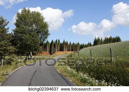 Stock Photo - "Country road near Grandrieu, Gevaudan, Margeride, Lozere, France, Europe". Fotosearch