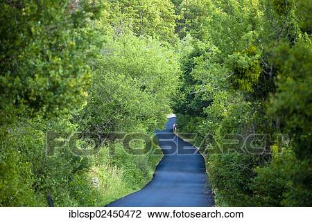 "Country road, Provence, France, Europe" View Large Photo Image Stock Image - "Country road, Provence, France, Europe". Fotosearch