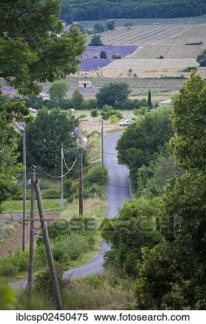 Stock Photography - "Country road, Provence, France, Europe". Fotosearch