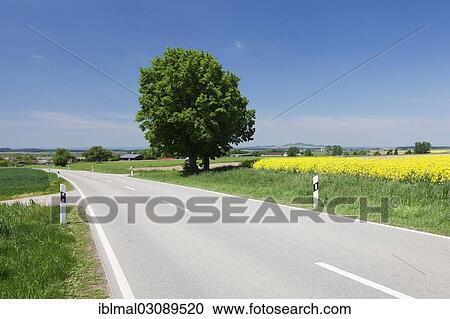 "Country road, Upper Swabia, Baden-Wurttemberg, Germany, Europe" View Large Photo Image Stock Image - "Country road, Upper Swabia, Baden-Wurttemberg, Germany, Europe". Fotosearch