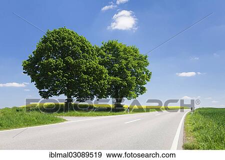 "Country road, Upper Swabia, Baden-Wurttemberg, Germany, Europe" View Large Photo Image Stock Photo - "Country road, Upper Swabia, Baden-Wurttemberg, Germany, Europe". Fotosearch