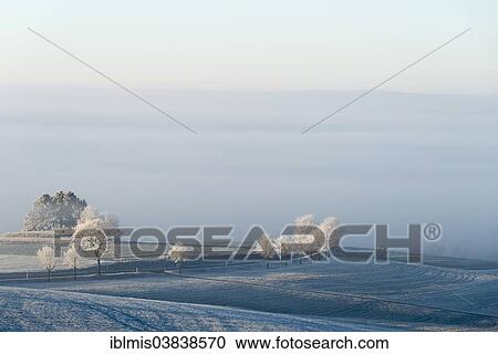 "Country road with frost at Witthoh ridge, Hegau, Baden-Wurttemberg, Germany, Europe" View Large Photo Image Stock Image - "Country road with frost at Witthoh ridge, Hegau, Baden-Wurttemberg, Germany, Europe". Fotosearch