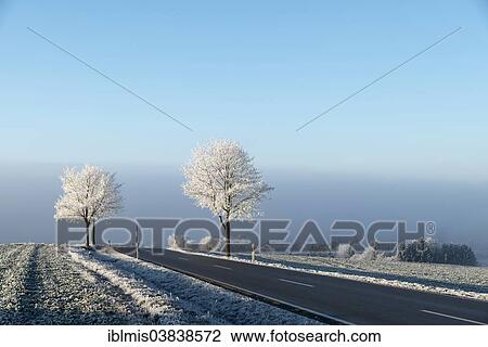 "Country road with hoarfrost at Witthoh ridge, Hegau, Baden-Wurttemberg, Germany, Europe" View Large Photo Image Stock Image - "Country road with hoarfrost at Witthoh ridge, Hegau, Baden-Wurttemberg, Germany, Europe". Fotosearch