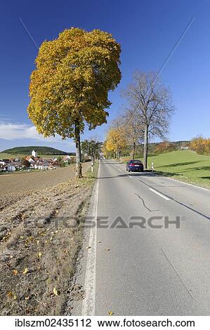 "Country road with views of the village of Riedboehringen in autumn, Baden-Wuerttemberg, Germany, Europe" View Large Photo Image Stock Image - "Country road with views of the village of Riedboehringen in autumn, Baden-Wuerttemberg, Germany, Europe". Fotosearch