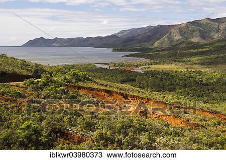 "Countryside with red earth at the coast, Grande Terre, New Caledonia, Oceania" View Large Photo Image Stock Image - "Countryside with red earth at the coast, Grande Terre, New Caledonia, Oceania". Fotosearch