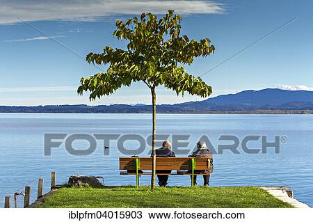 "Couple sitting on a bench under a tree overlooking the lake, Fraueninsel, Chiemsee, Chiemgau, Upper Bavaria, Deutschland" View Large Photo Image Stock Image - "Couple sitting on a bench under a tree overlooking the lake, Fraueninsel, Chiemsee, Chiemgau, Upper Bavaria, Deutschland". Fotosearch