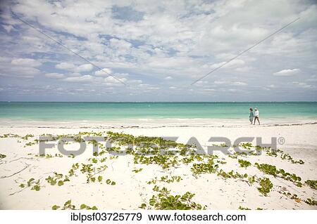 "Couple walking along the beach, Cayo Levisa, Pinar del Rio Province, Cuba, North America" View Large Photo Image Stock Photo - "Couple walking along the beach, Cayo Levisa, Pinar del Rio Province, Cuba, North America". Fotosearch