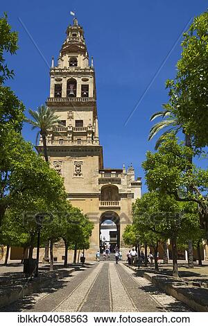 Stock Image - "Courtyard and bell tower of the Mezquita de Cordoba, Cordoba, Andalucia, Spain, Europe". Fotosearch
