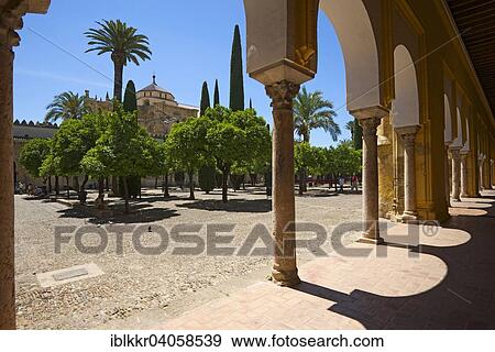 "Courtyard and cloisters of the Mezquita de Cordoba, Cordoba, Andalucia, Spain, Europe" View Large Photo Image Stock Photo - "Courtyard and cloisters of the Mezquita de Cordoba, Cordoba, Andalucia, Spain, Europe". Fotosearch