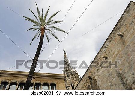"Courtyard, Casa de L'Ardiaca, Gothic Quarter, Barri Gotic, Barcelona, ​​Catalonia, Spain, Europe, Barcelona, Catalonia, Spain, Europe" View Large Photo Image Stock Photo - "Courtyard, Casa de L'Ardiaca, Gothic Quarter, Barri Gotic, Barcelona, ​​Catalonia, Spain, Europe, Barcelona, Catalonia, Spain, Europe". Fotosearch