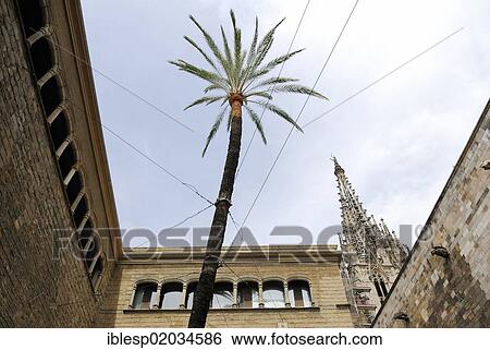 "Courtyard, Casa de L'Ardiaca, Barcelona, ​​Catalonia, Spain, Europe, Gotisches Viertel, Barri Gotic, Barcelona, Catalonia, Spain, Europe" View Large Photo Image Stock Photograph - "Courtyard, Casa de L'Ardiaca, Barcelona, ​​Catalonia, Spain, Europe, Gotisches Viertel, Barri Gotic, Barcelona, Catalonia, Spain, Europe". Fotosearch