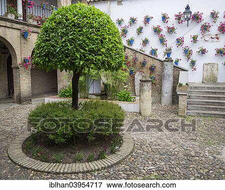 "Courtyard, Cordoba, Andalusia, Spain, Europe" View Large Photo Image Stock Photo - "Courtyard, Cordoba, Andalusia, Spain, Europe". Fotosearch