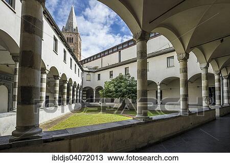 "Courtyard with fig tree, Convento di San Agostino, Genoa, Liguria, Italy, Europe" View Large Photo Image Stock Image - "Courtyard with fig tree, Convento di San Agostino, Genoa, Liguria, Italy, Europe". Fotosearch