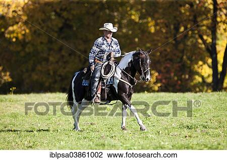 "Cowboy galloping with a black tobiano American Paint Horse, on a meadow in autumn, North Tyrol, Austria, Europe" View Large Photo Image Stock Image - "Cowboy galloping with a black tobiano American Paint Horse, on a meadow in autumn, North Tyrol, Austria, Europe". Fotosearch