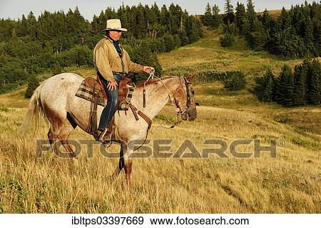 "Cowboy riding a horse across the prairie, Cypress Hills, Saskatchewan Province, Canada, North America" View Large Photo Image Stock Photo - "Cowboy riding a horse across the prairie, Cypress Hills, Saskatchewan Province, Canada, North America". Fotosearch