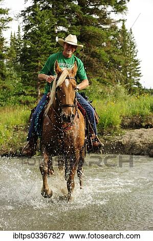 "Cowboy riding through a river with splashing water, Saskatchewan Province, Canada, North America" View Large Photo Image Stock Photo - "Cowboy riding through a river with splashing water, Saskatchewan Province, Canada, North America". Fotosearch