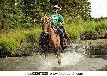 Stock Photo - "Cowboy riding through a river with splashing water, Saskatchewan Province, Canada, North America". Fotosearch