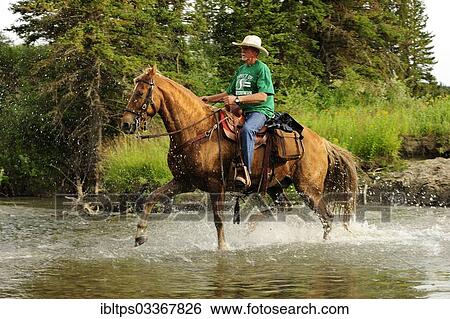 "Cowboy riding through a river with splashing water, Saskatchewan Province, Canada, North America" View Large Photo Image Stock Photograph - "Cowboy riding through a river with splashing water, Saskatchewan Province, Canada, North America". Fotosearch