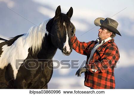 Stock Photograph - "Cowboy with an American Paint Horse stallion, black tobiano, North Tyrol, Austria, Europe". Fotosearch