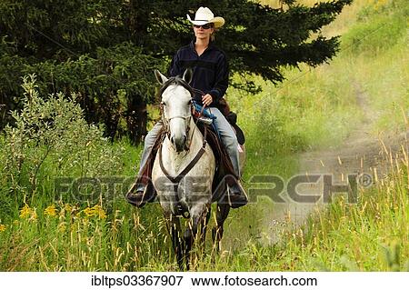 "Cowgirl riding a gray horse, Saskatchewan Province, Canada, North America" View Large Photo Image Stock Photo - "Cowgirl riding a gray horse, Saskatchewan Province, Canada, North America". Fotosearch