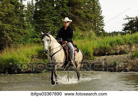 "Cowgirl riding a gray horse through a river with splashing water, Saskatchewan Province, Canada, North America" View Large Photo Image Stock Image - "Cowgirl riding a gray horse through a river with splashing water, Saskatchewan Province, Canada, North America". Fotosearch