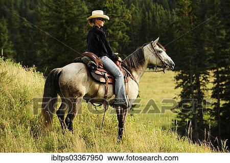"Cowgirl riding a gray horse through the prairie, Saskatchewan Province, Canada, North America" View Large Photo Image Stock Image - "Cowgirl riding a gray horse through the prairie, Saskatchewan Province, Canada, North America". Fotosearch