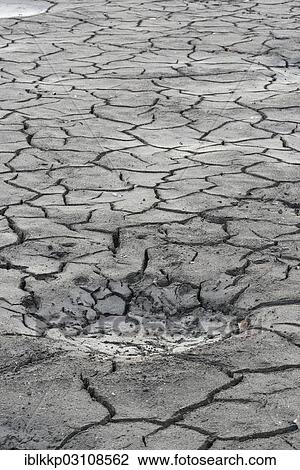 Stock Image - "Cracked bed of a drained carp pond in autumn, Uhyst, Saxony-Anhalt, Germany, Europe". Fotosearch