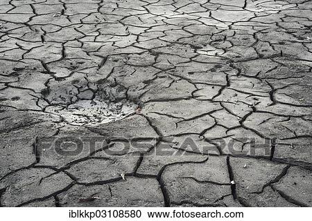 Stock Image - "Cracked bed of a drained carp pond in autumn, Uhyst, Saxony-Anhalt, Germany, Europe". Fotosearch