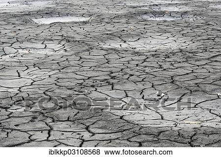 Stock Photo - "Cracked bed of a drained carp pond in autumn, Uhyst, Saxony-Anhalt, Germany, Europe". Fotosearch