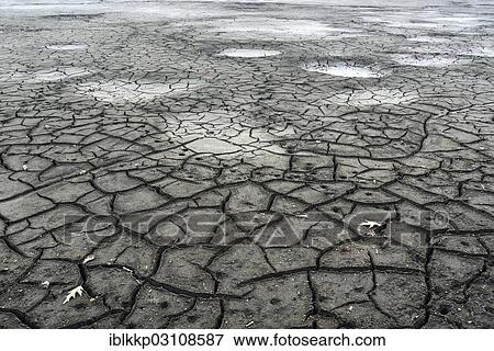 "Cracked bed of a drained carp pond in autumn, Uhyst, Saxony-Anhalt, Germany, Europe" View Large Photo Image Stock Photo - "Cracked bed of a drained carp pond in autumn, Uhyst, Saxony-Anhalt, Germany, Europe". Fotosearch