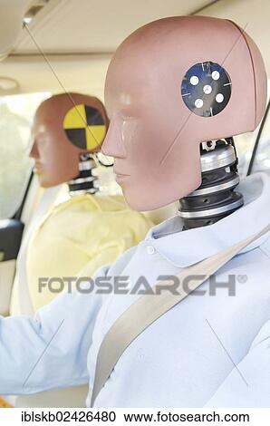 Crash test dummies in a car View Large Photo Image Stock Image - Crash test dummies in a car. Fotosearch
