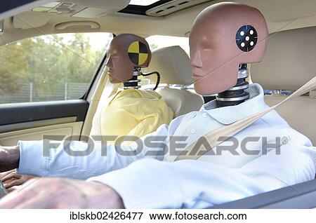 Crash test dummies in a car View Large Photo Image Stock Photo - Crash test dummies in a car. Fotosearch
