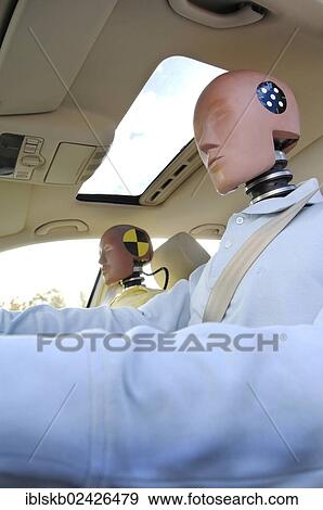 Crash test dummies in a car View Large Photo Image Stock Photo - Crash test dummies in a car. Fotosearch