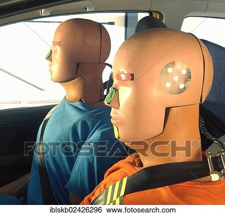 Crash test dummies in a car View Large Photo Image Stock Photograph - Crash test dummies in a car. Fotosearch