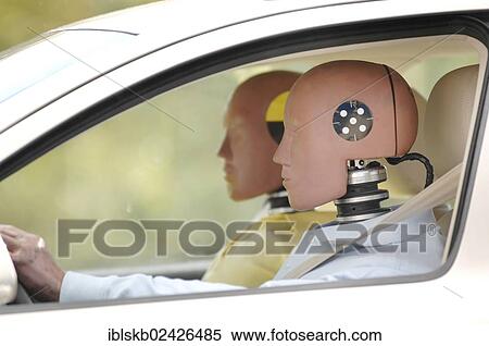 Crash test dummies in a car View Large Photo Image Stock Photography - Crash test dummies in a car. Fotosearch