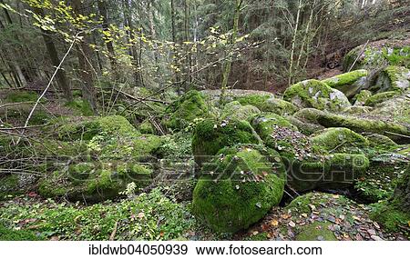 Stock Photo - "Creek Girnitz, nature reserve Dost or Doost geotop, Floss, Upper Palatinate, Bavaria, Germany, Europe". Fotosearch